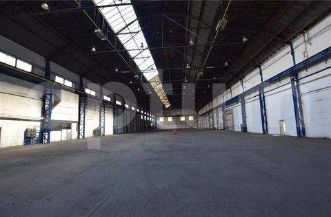 Hannover Halle, Hannover Hallenfläche