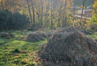 Baugrundstück mit Weitblick - Naturnahe Parzelle m
