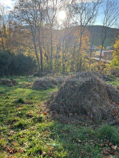 Langewiesen Grundstücke, Langewiesen Grundstück kaufen