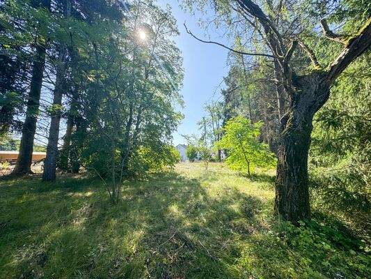 gepflegte Nachbarschaft