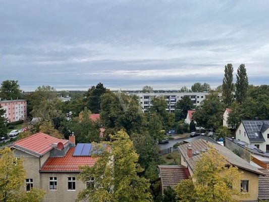 Blick vom Küchenfenster