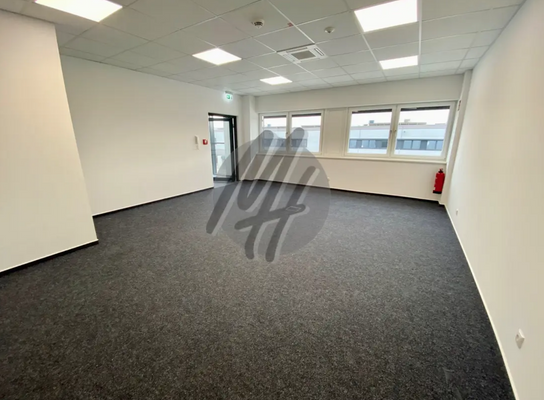 INFOS UNTER: 06171-586000