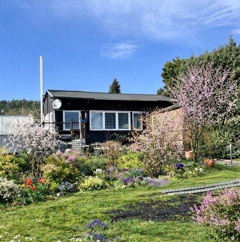 Ilmenau Häuser, Ilmenau Haus kaufen