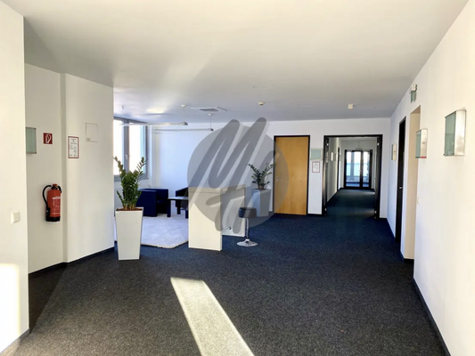 INFOS UNTER: 06171-586000