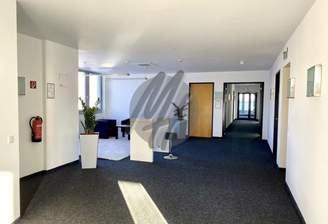 INFOS UNTER: 06171-586000