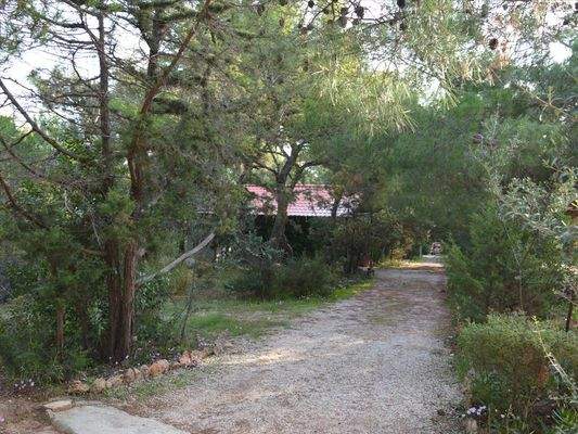Bild 8