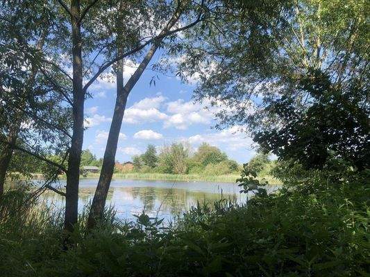 Mühlenteich in Rüting