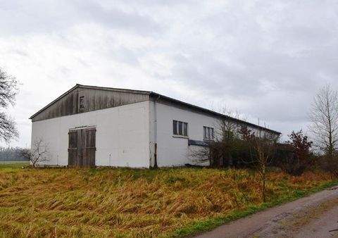 Wittenberge Bauernhöfe, Landwirtschaft, Wittenberge Forstwirtschaft