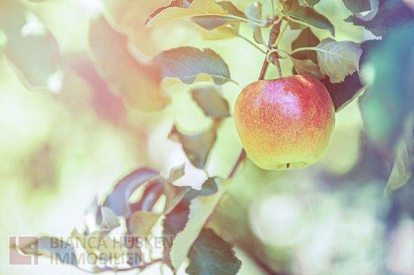 Mit Liebe zur Heimat