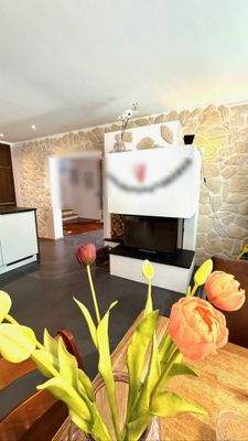 Kaminofen für gemütliche Stunden