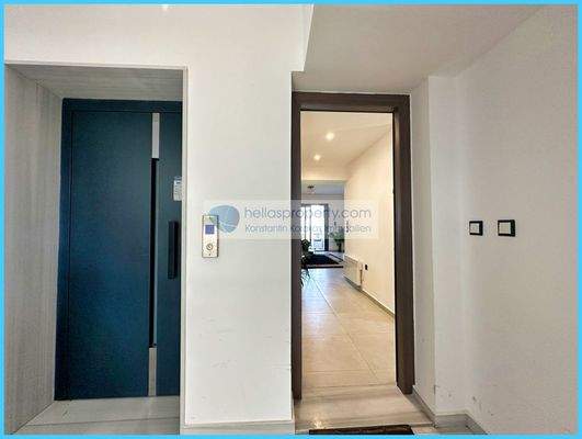 d51634c55bf74a6891a833e614620eb4-original