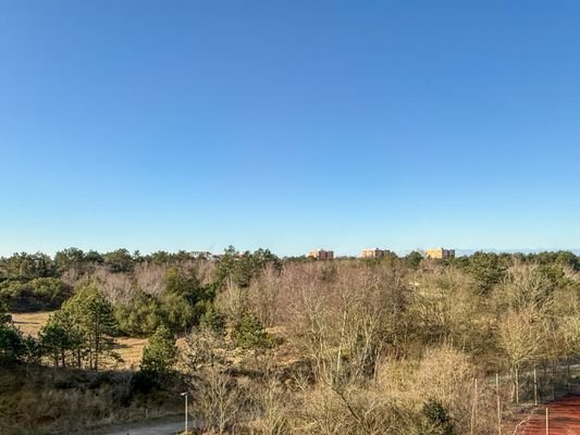 Blick vom Balkon