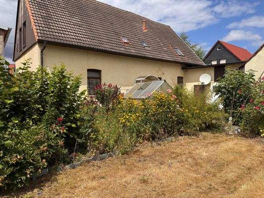 Blick aus dem Garten