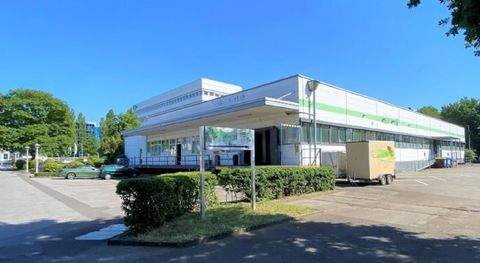 Köln Halle, Köln Hallenfläche