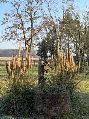 Detailansicht Garten