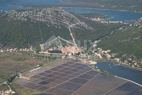 Cesvinica Bauernhöfe, Landwirtschaft, Cesvinica Forstwirtschaft