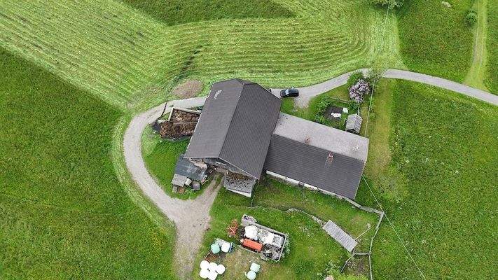 Hof_Antholz_Wald_Alpenwiese_ruhig_Natur_Dolomiten_Südtirol