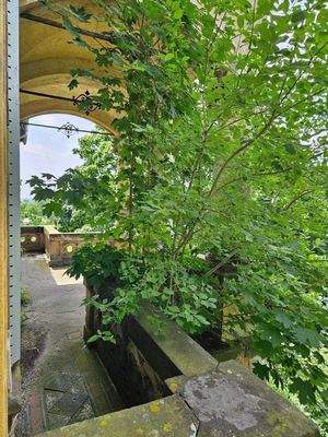 2024-06-29 13-32-05.JPG