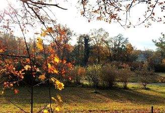 Blick vom Grundstück 