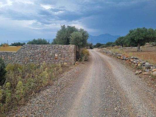 Kreta, Agios Nikolaos: Grundstück mit Meerblick zu verkaufen