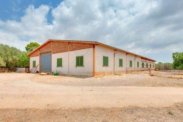 llucmajor Mallorca finca zu Verkaufen Stallungen 89362
