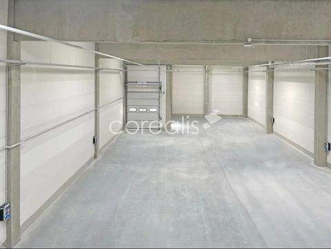 Ratingen Halle, Ratingen Hallenfläche