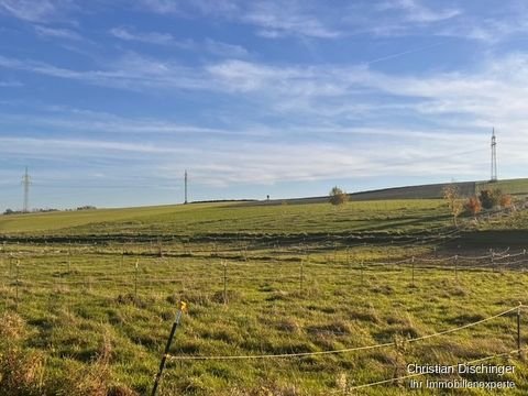 Freising Bauernhöfe, Landwirtschaft, Freising Forstwirtschaft