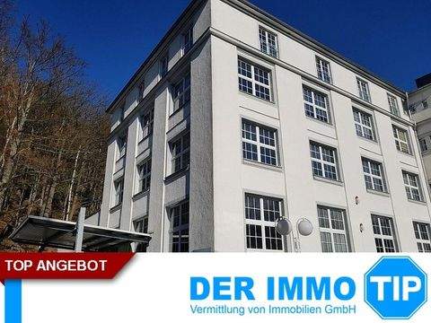 Chemnitz Halle, Chemnitz Hallenfläche