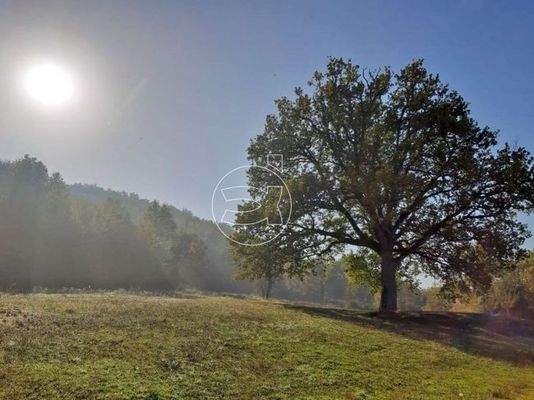 Tokanisches Objekt in idyllischer Lage