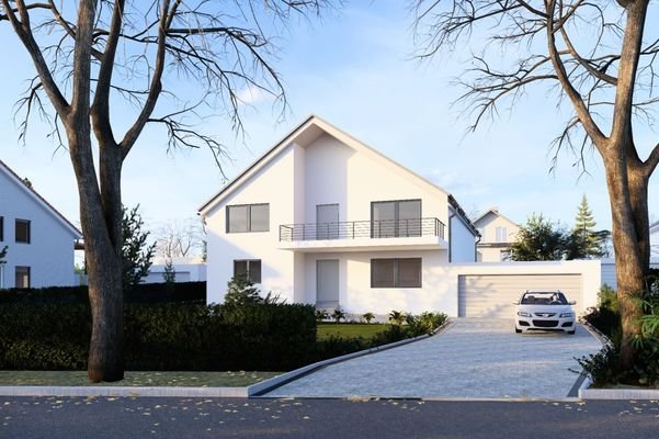 Rendering Einfamilienhaus