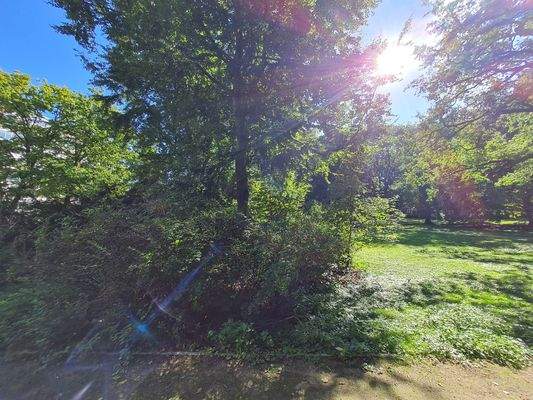 mitten in der City.jpg