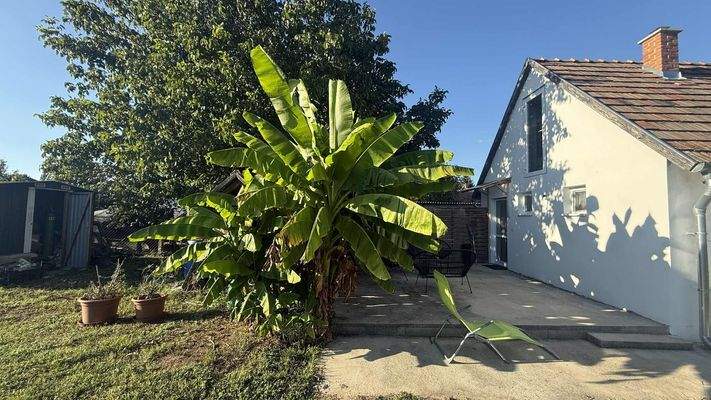 att.C1en8XKKDMuVyD8J3_YSQS6M6Mp9Pnp0flw_s7WUwrc má