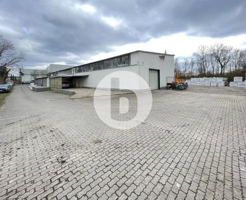 Pinneberg Halle, Pinneberg Hallenfläche