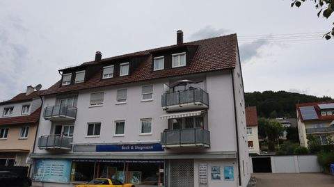 Albstadt Wohnungen, Albstadt Wohnung kaufen
