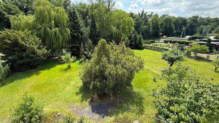 Impression vom Grundstück