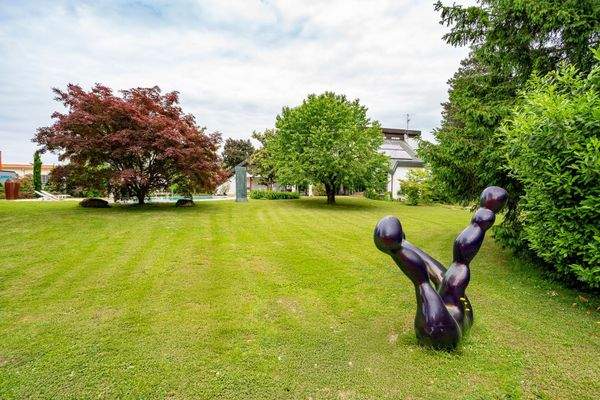 Der Park-ähnliche Garten