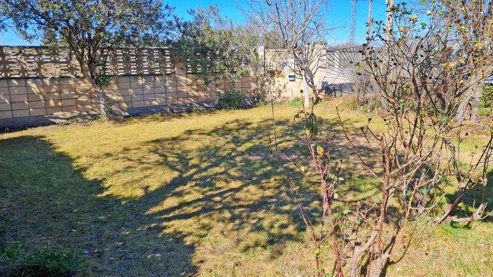 WhatsApp Image 2025-02-12 at 17.32.06 (20).jpeg