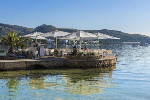 02 - IB Port Pollen�a