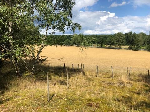 Küsten Bauernhöfe, Landwirtschaft, Küsten Forstwirtschaft