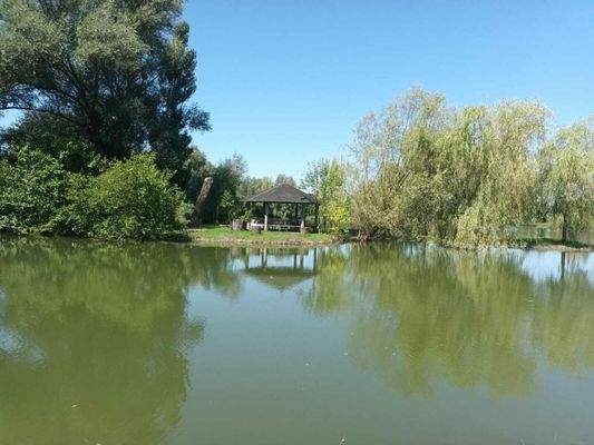 WhatsApp Image 2023-07-22 at 17.57.09