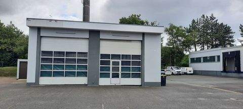 Rendsburg Halle, Rendsburg Hallenfläche