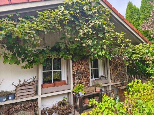 Blick auf Garage vom Garten aus.jpg