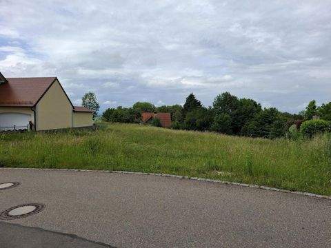 Berg im Gau Grundstücke, Berg im Gau Grundstück kaufen