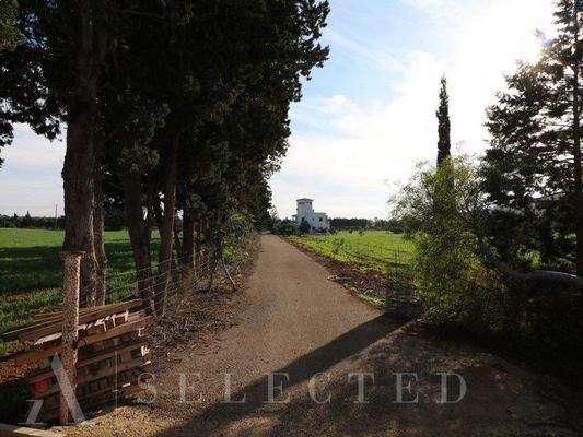 New brand Villa in construction between Inca and Llubi_13