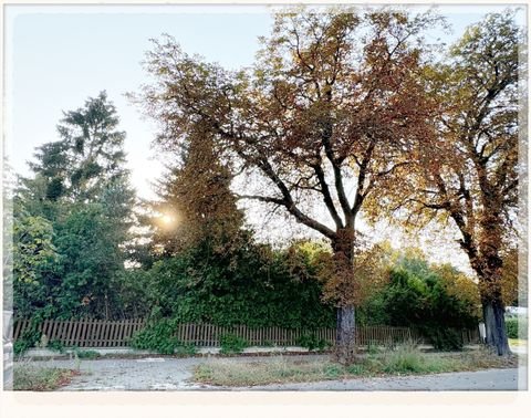 Mühlenbecker Land Grundstücke, Mühlenbecker Land Grundstück kaufen