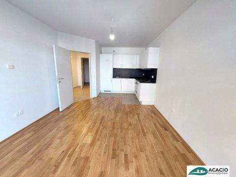 Pixendorf Wohnungen, Pixendorf Wohnung mieten