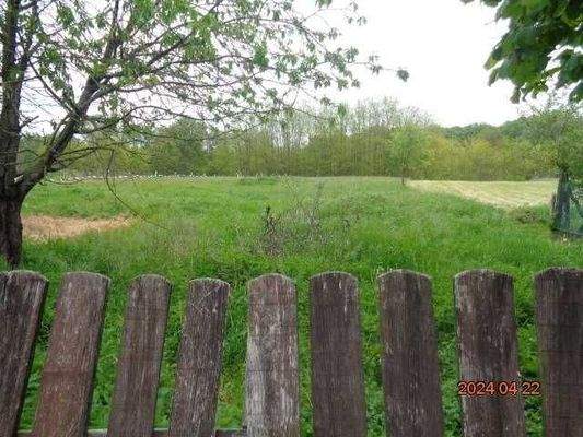 Grund gehört dazu mit kl.Akazienwald