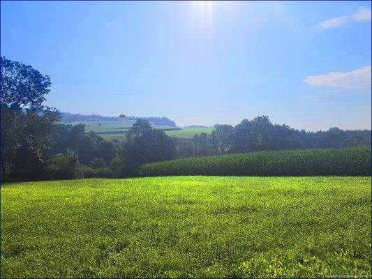 Die Traumaussicht vom Sacherl auf das großzügige Grundstück