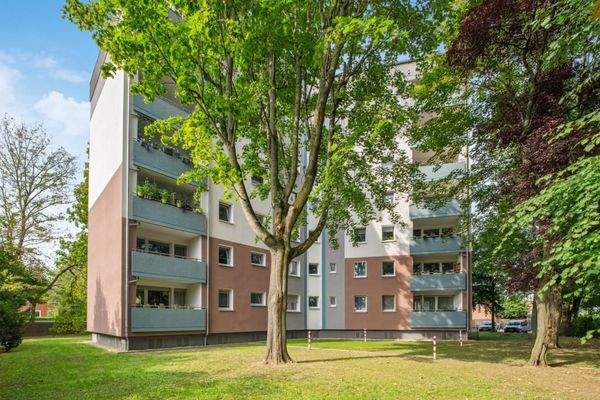 backbone_144916_049_WEB