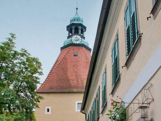 HERZOG1 - Mitten in Weiden